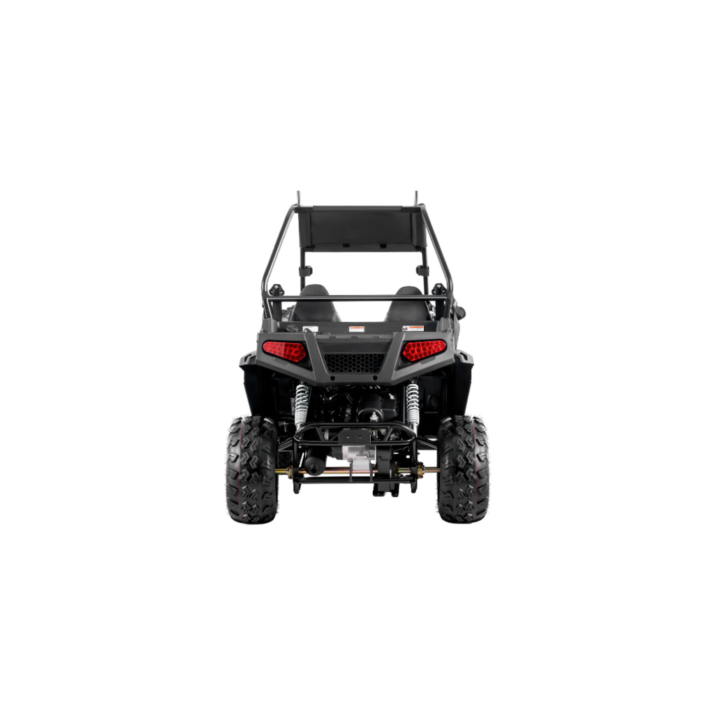200 U(EFI) UTV ( Utility Vehicle)