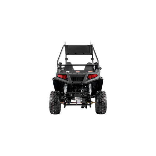200 U(EFI) UTV ( Utility Vehicle)