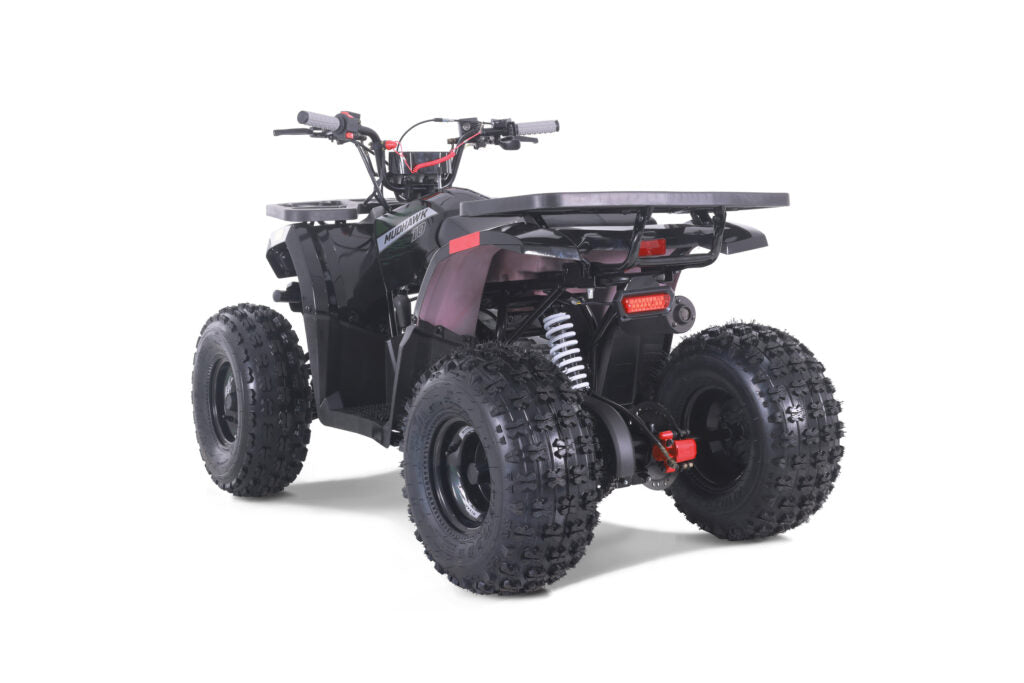 TAO MUDHAWK 10 ATV