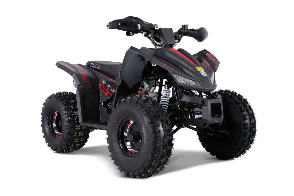 TAO Trailhawk 125cc ATV