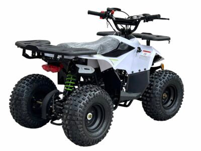 RXR 110cc ATV