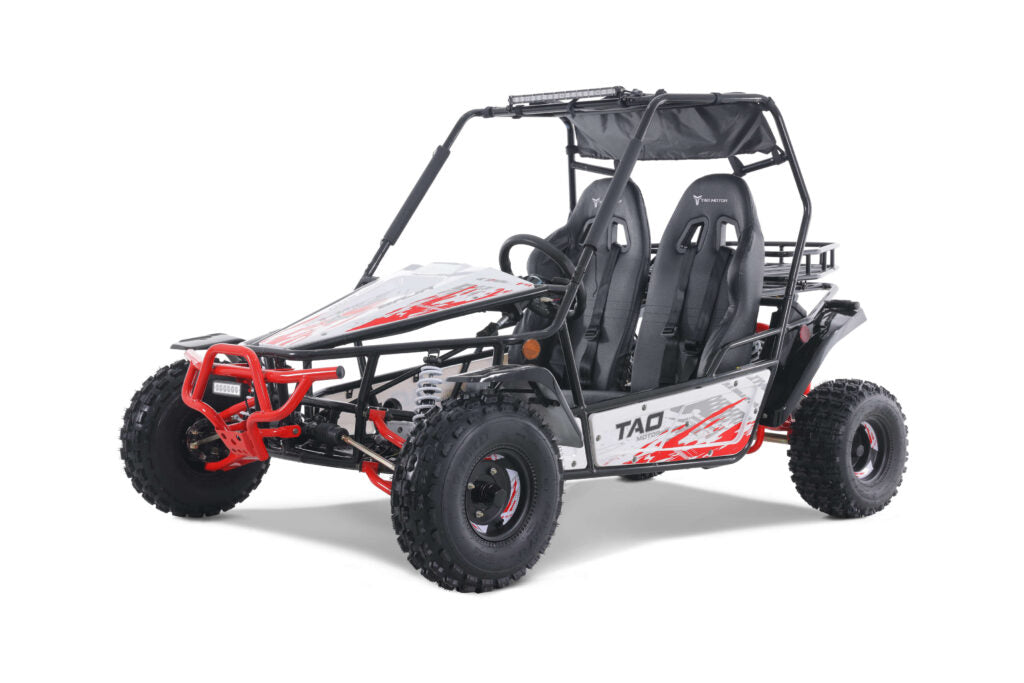 TAO Go-Cart Baja Sport 200
