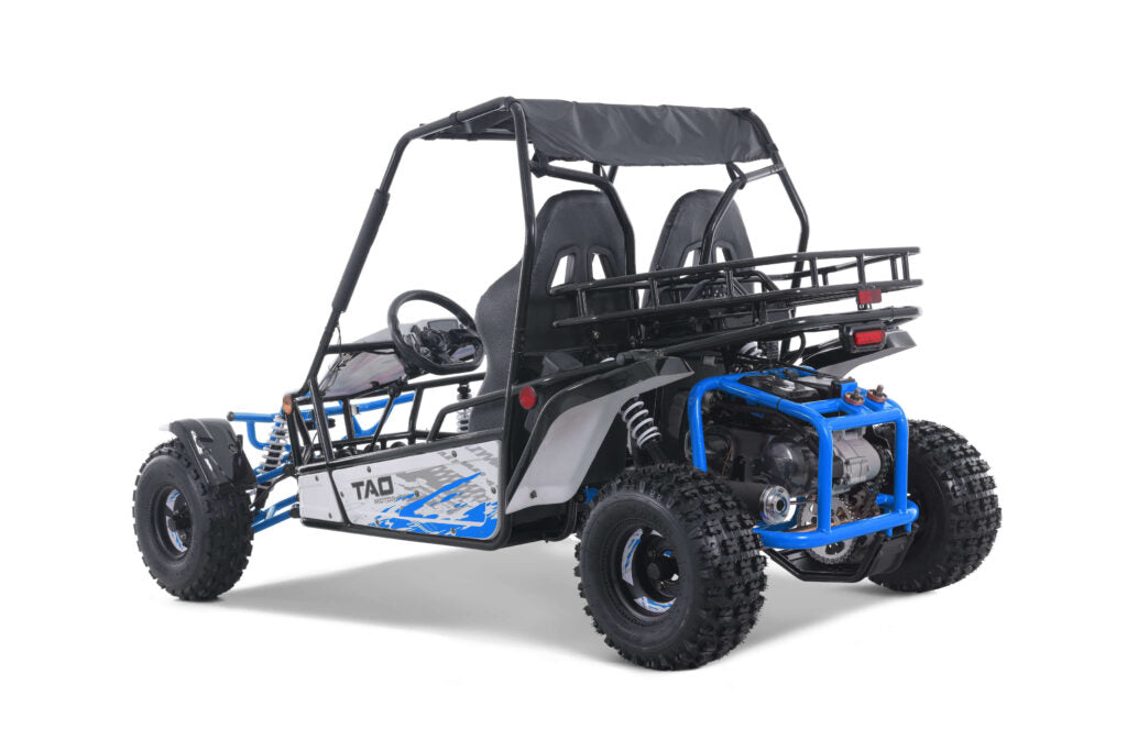 TAO Go-Cart Baja Sport 200