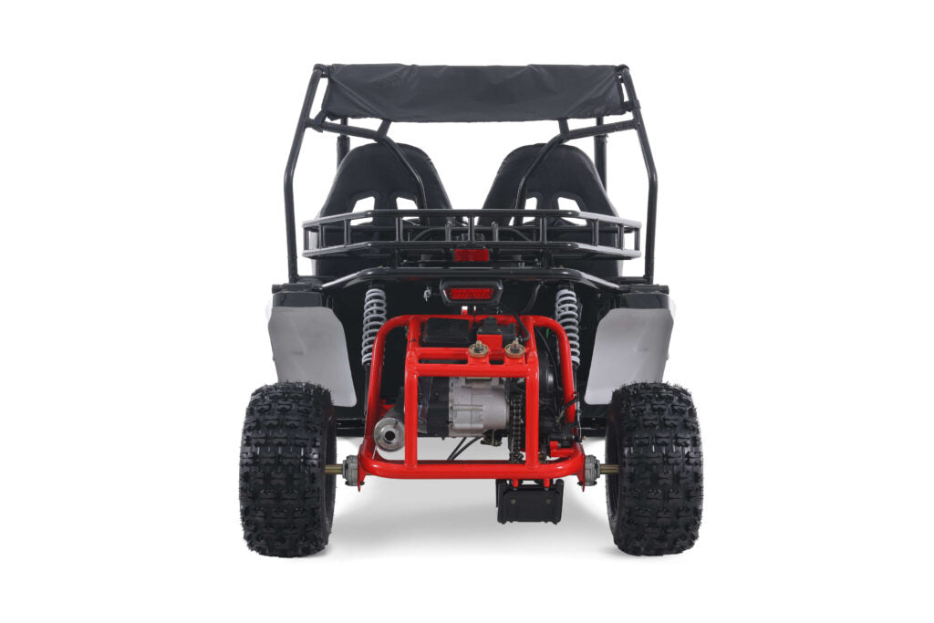TAO Go-Cart Baja Sport 200