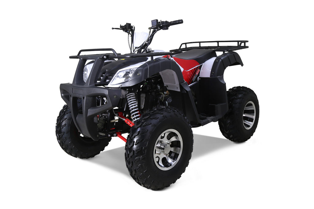 Tao ATV BULL 200S