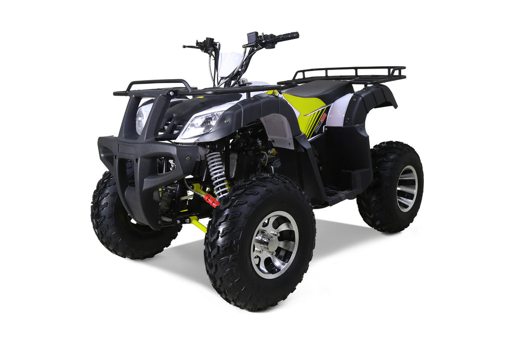 Tao ATV BULL 200S