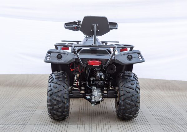 Vitacci Terminator 300 4×4 Utility ATV