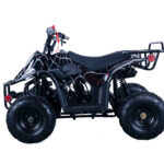 Apollo HAWK 110cc ATV