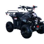 Apollo HAWK 110cc ATV
