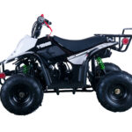 Apollo HAWK 110cc ATV