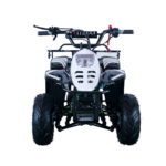 Apollo HAWK 110cc ATV