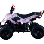 Apollo HAWK 110cc ATV