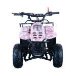 Apollo HAWK 110cc ATV