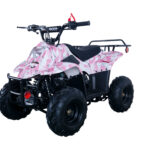 Apollo HAWK 110cc ATV