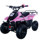 Apollo HAWK 110cc ATV