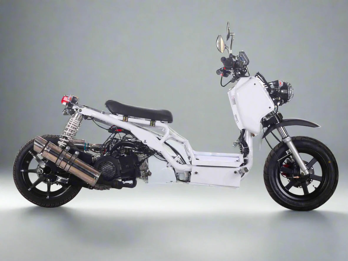 MADDOG 50cc Generation I Scooter:  IceBear  PMZ50-19