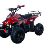 Apollo HAWK 110cc ATV