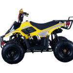 TAO Trailhawk 125cc ATV