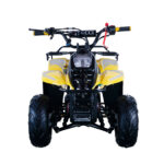 Apollo HAWK 110cc ATV